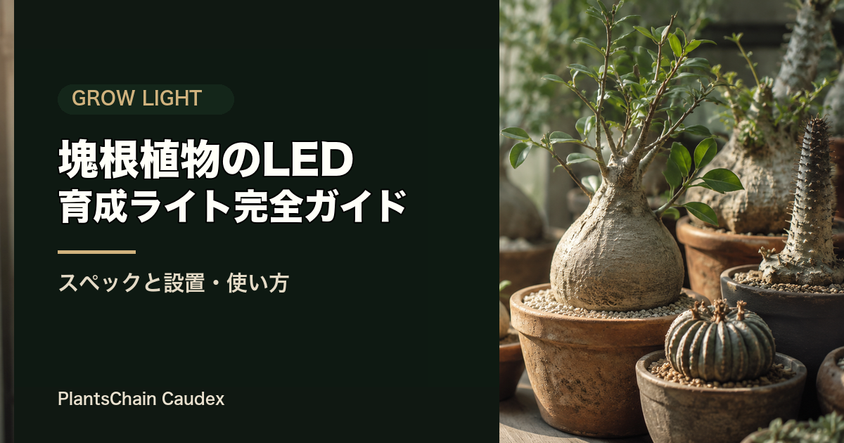 LED育成ライトの記事画像