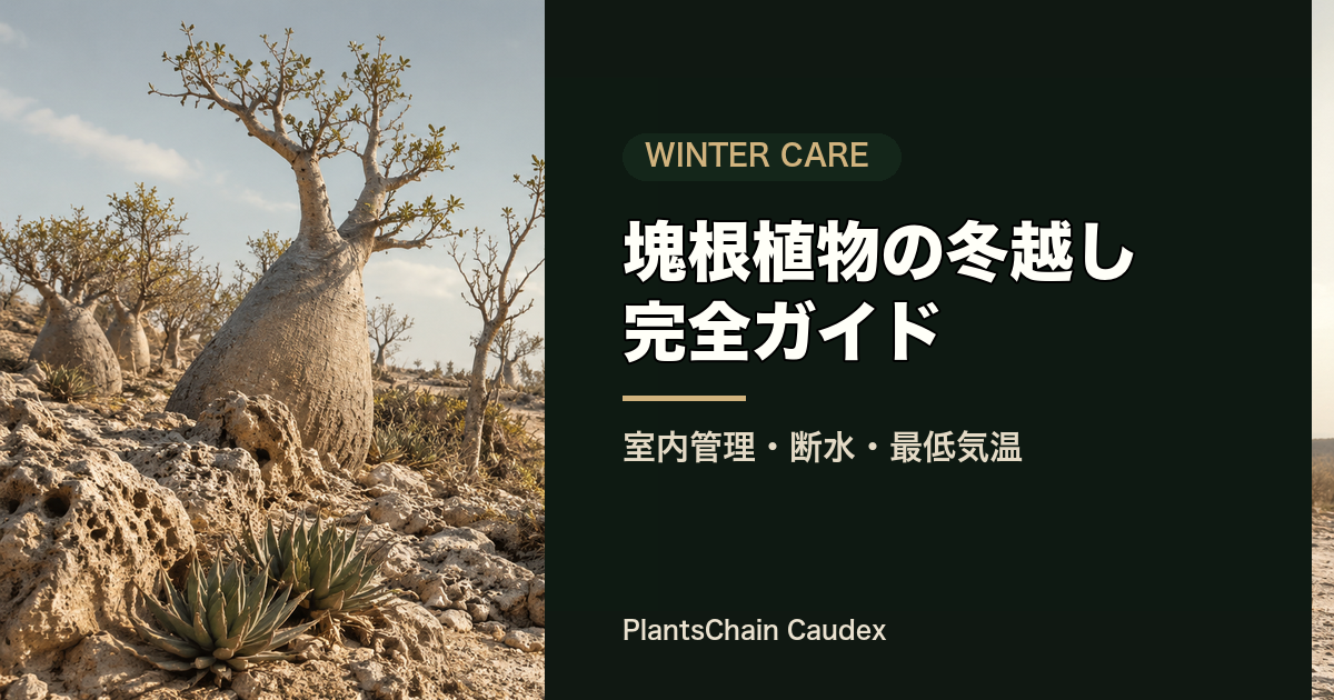 冬越し管理の記事画像