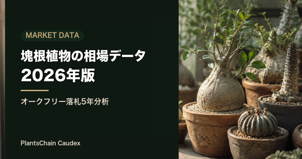 塊根植物の相場データ2026年版のアイキャッチ画像