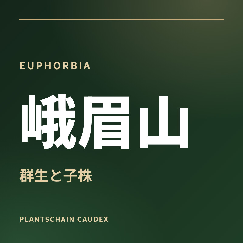峨眉山：群生と子株 — EUPHORBIAの文字表紙